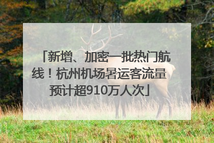 新增、加密一批热门航线！杭州机场暑运客流量预计超910万人次
