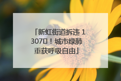 新虹街道拆违 1307㎡！城市绿肺重获呼吸自由