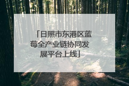 日照市东港区蓝莓全产业链协同发展平台上线