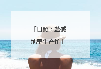 日照：盐碱地里生产忙