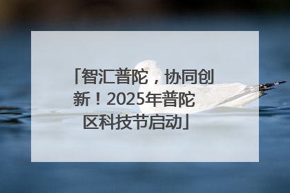 智汇普陀，协同创新！2025年普陀区科技节启动