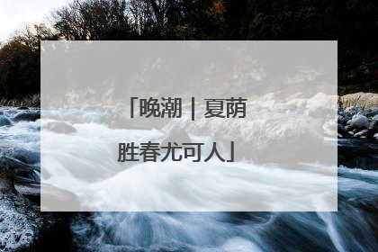 晚潮｜夏荫胜春尤可人