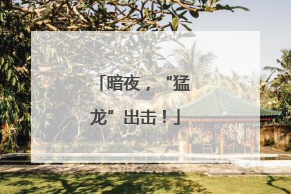 暗夜，“猛龙”出击！
