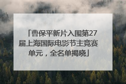 曹保平新片入围第27届上海国际电影节主竞赛单元，全名单揭晓