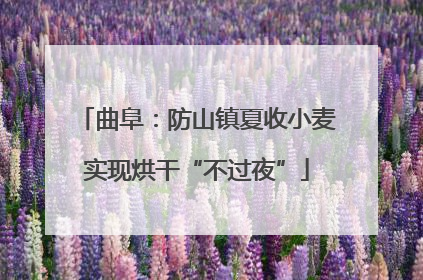 曲阜：防山镇夏收小麦实现烘干“不过夜”