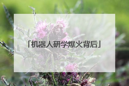机器人研学爆火背后