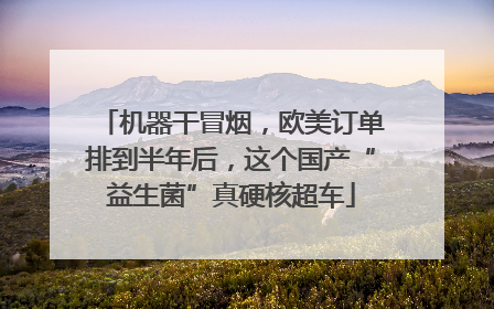 机器干冒烟，欧美订单排到半年后，这个国产“益生菌”真硬核超车