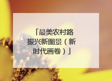最美农村路 振兴新图景（新时代画卷）