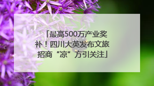 最高500万产业奖补！四川大英发布文旅招商“凉”方引关注