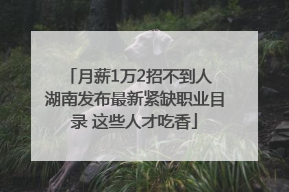 月薪1万2招不到人 湖南发布最新紧缺职业目录 这些人才吃香
