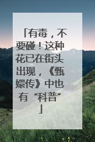 有毒，不要碰！这种花已在街头出现，《甄嬛传》中也有“科普”