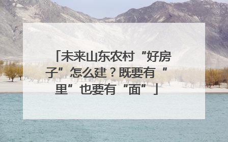 未来山东农村“好房子”怎么建？既要有“里”也要有“面”