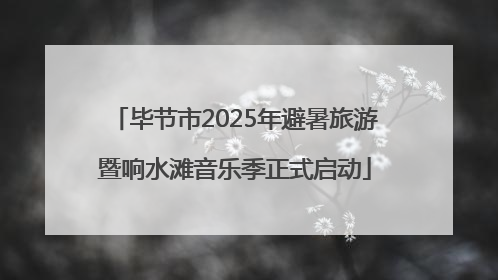 毕节市2025年避暑旅游暨响水滩音乐季正式启动