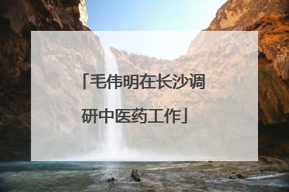 毛伟明在长沙调研中医药工作