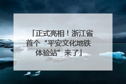 正式亮相！浙江省首个“平安文化地铁体验站”来了