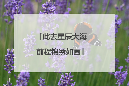 此去星辰大海 前程锦绣如画