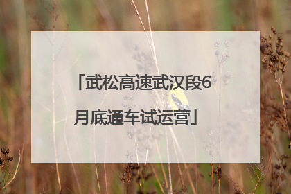 武松高速武汉段6月底通车试运营