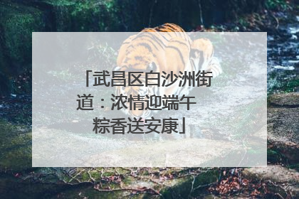 武昌区白沙洲街道：浓情迎端午 粽香送安康