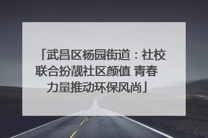 武昌区杨园街道：社校联合扮靓社区颜值 青春力量推动环保风尚
