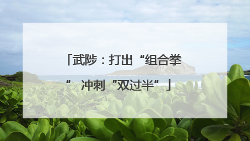 武陟：打出“组合拳” 冲刺“双过半”