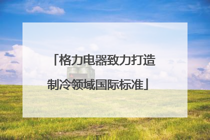 格力电器致力打造制冷领域国际标准