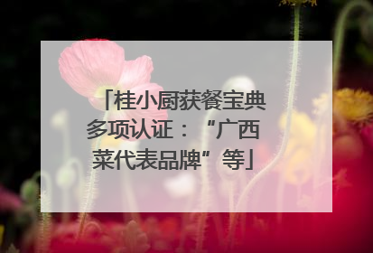 桂小厨获餐宝典多项认证：“广西菜代表品牌”等