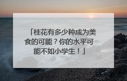 桂花有多少种成为美食的可能？你的水平可能不如小学生！