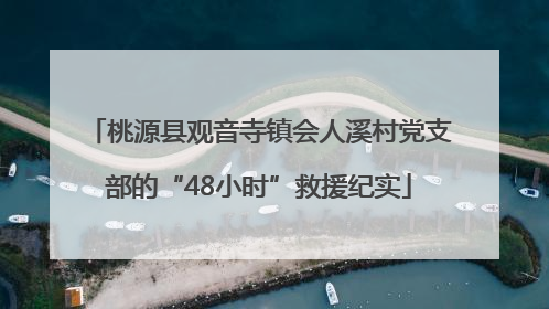 桃源县观音寺镇会人溪村党支部的“48小时”救援纪实