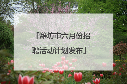 潍坊市六月份招聘活动计划发布