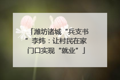 潍坊诸城“兵支书”李炜：让村民在家门口实现“就业”