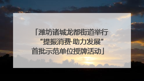 潍坊诸城龙都街道举行“提振消费·助力发展”首批示范单位授牌活动