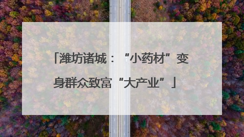 潍坊诸城：“小药材”变身群众致富“大产业”