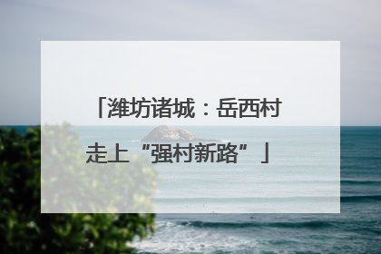 潍坊诸城：岳西村走上“强村新路”