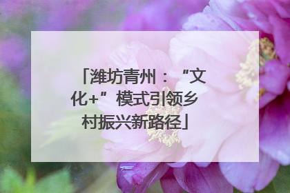 潍坊青州：“文化+”模式引领乡村振兴新路径