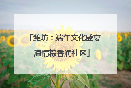 潍坊：端午文化盛宴 温情粽香润社区
