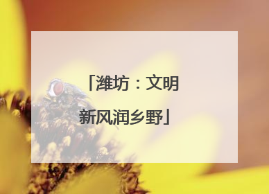 潍坊：文明新风润乡野