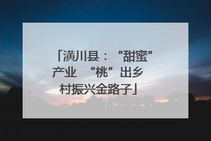 潢川县：“甜蜜”产业  “桃”出乡村振兴金路子