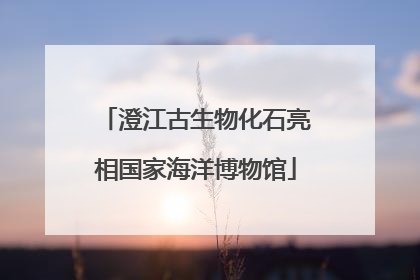 澄江古生物化石亮相国家海洋博物馆