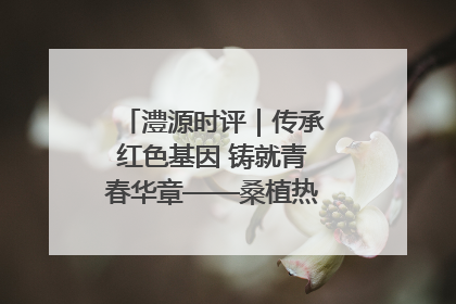 澧源时评｜传承红色基因 铸就青春华章——桑植热土上的青春长征
