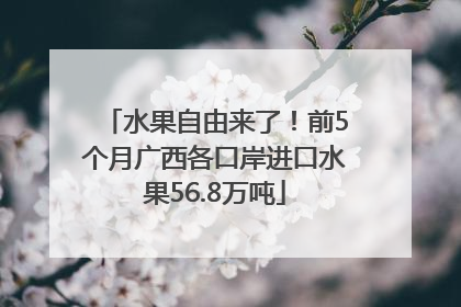 水果自由来了！前5个月广西各口岸进口水果56.8万吨