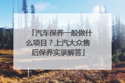 汽车保养一般做什么项目？上汽大众售后保养实录解答