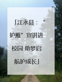 江永县：“护雁”宣讲进校园 助梦启航护成长