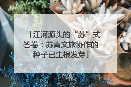 江河源头的“苏”式答卷：苏青文旅协作的种子已生根发芽
