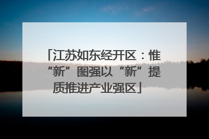 江苏如东经开区：惟“新”图强以“新”提质推进产业强区