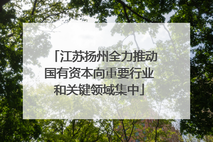 江苏扬州全力推动国有资本向重要行业和关键领域集中