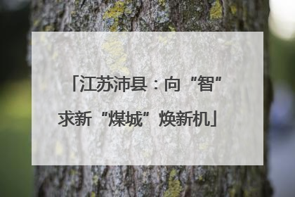 江苏沛县：向“智”求新“煤城”焕新机