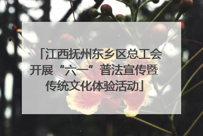 江西抚州东乡区总工会开展“六一”普法宣传暨传统文化体验活动