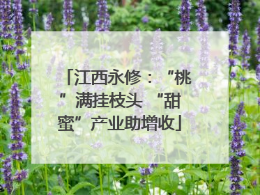 江西永修：“桃”满挂枝头 “甜蜜”产业助增收