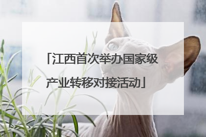 江西首次举办国家级产业转移对接活动