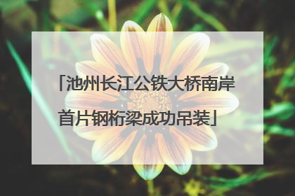 池州长江公铁大桥南岸首片钢桁梁成功吊装